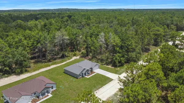 Weeki Wachee, FL 34614,13478 English Sparrow Road