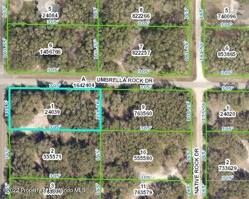 0 Umbrella Rock Drive, Webster, FL 33597