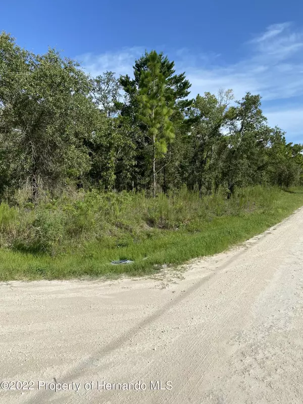 Weeki Wachee, FL 34614,14112 English Sparrow Road