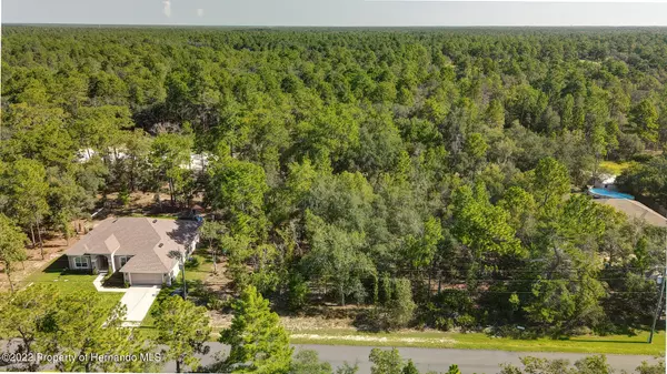 Pheasant Avenue, Weeki Wachee, FL 34614