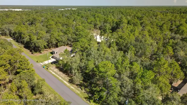 Weeki Wachee, FL 34614,Pheasant Avenue