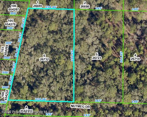 6 Nutmeg Drive, Webster, FL 33597