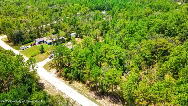 Weeki Wachee, FL 34614,16333 Frost Bird Road