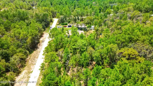 Weeki Wachee, FL 34614,16333 Frost Bird Road