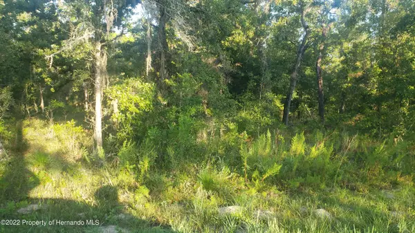 Sheldrake Loop, Weeki Wachee, FL 34614