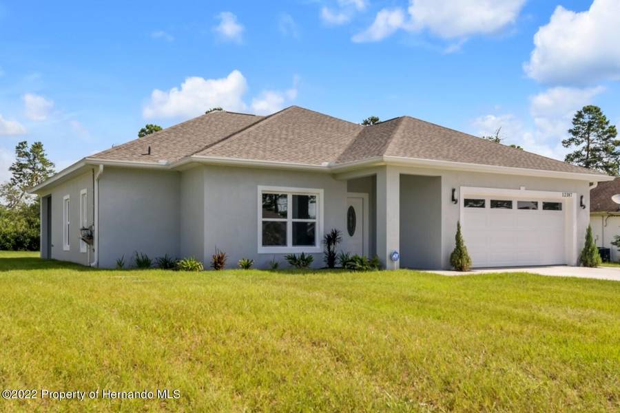 12387 Talpa Street, Spring Hill, FL 34608