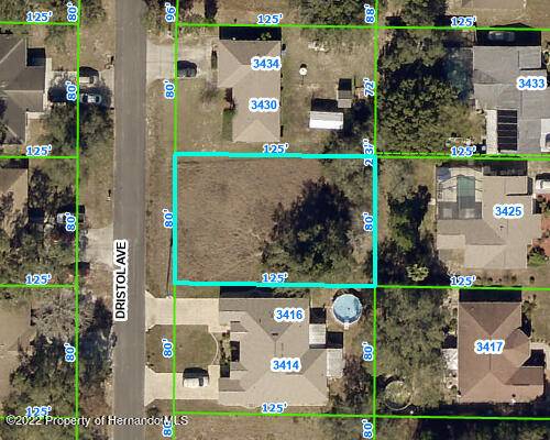 3422 Dristol Avenue, Spring Hill, FL 34609