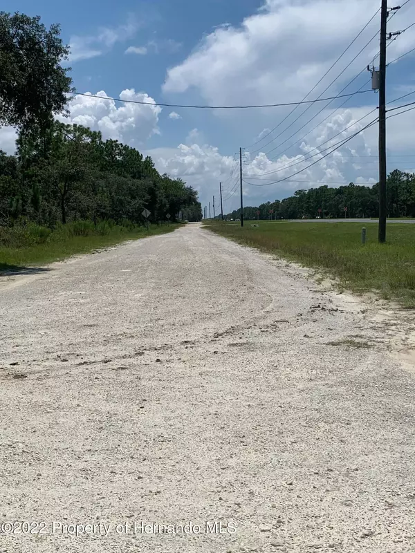 Weeki Wachee, FL 34614,0 Nicasio Jay