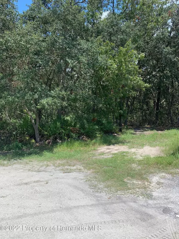 0 Nicasio Jay,  Weeki Wachee,  FL 34614