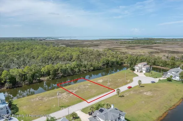 Hernando Beach, FL 34607,3376 Palometa Drive