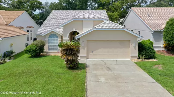 9311 New Orleans Drive, Weeki Wachee, FL 34613