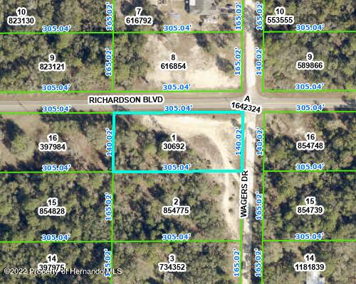 0 Richardson Boulevard, Webster, FL 33597