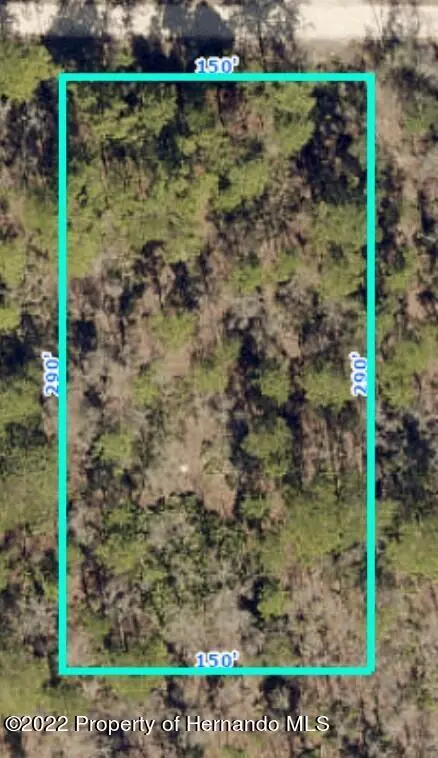 Weeki Wachee, FL 34614,Yellowlegs Avenue