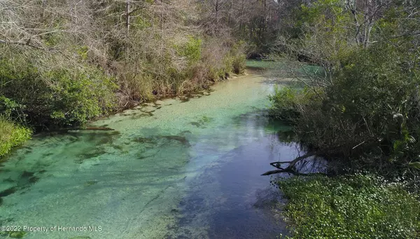 Weeki Wachee, FL 34607,7100 River Run Boulevard