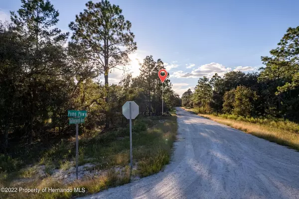 Weeki Wachee, FL 34614,Tailorbird Avenue