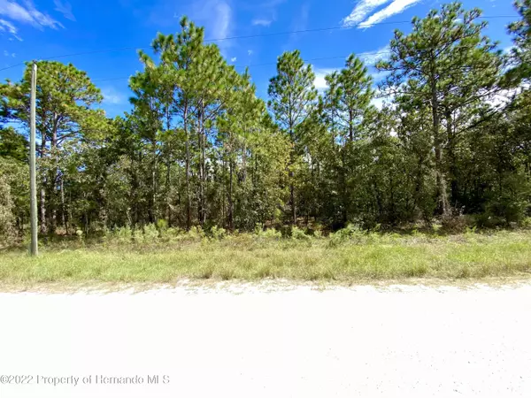 Malden Road, Weeki Wachee, FL 34614