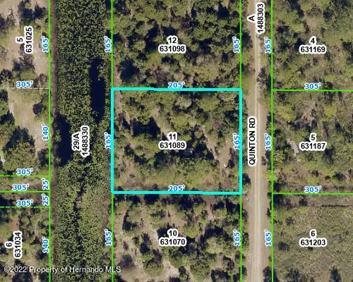 11 QUINTON Road, Weeki Wachee, FL 34614