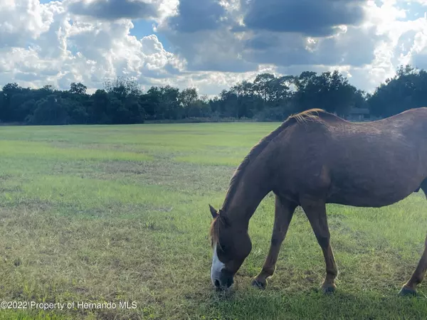 Brooksville, FL 34602,Wildlife Lane