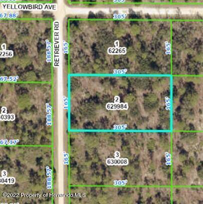 18112 RETRIEVER Road, Brooksville, FL 34614