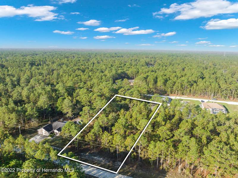 Mellon Road, Weeki Wachee, FL 34614