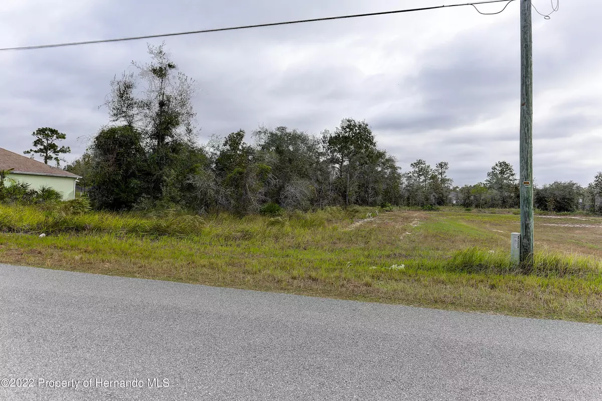 Weeki Wachee, FL 34614,13094 Osprey Avenue