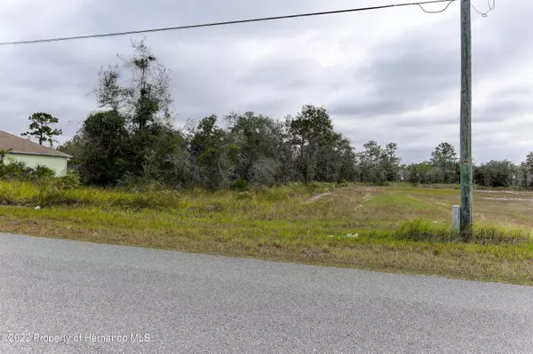 13094 Osprey Avenue, Weeki Wachee, FL 34614