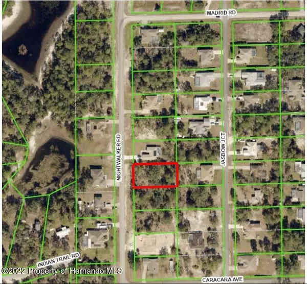 Weeki Wachee, FL 34613,Nightwalker Rd Lot 7