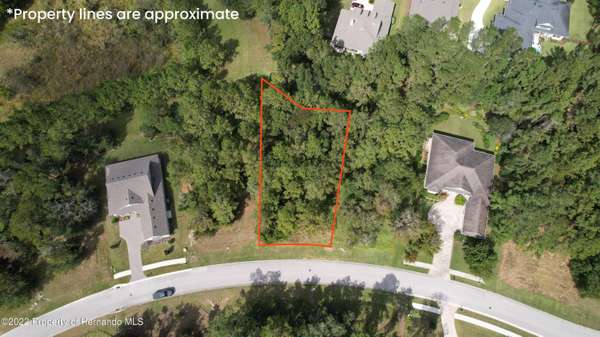 19595 Sheltered Hill Drive, Brooksville, FL 34601