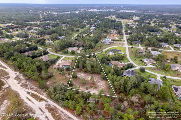 Weeki Wachee, FL 34613,9488 Hernando Ridge Road