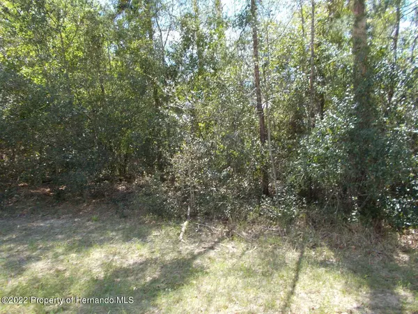 0 River Country Drive, Weeki Wachee, FL 34607