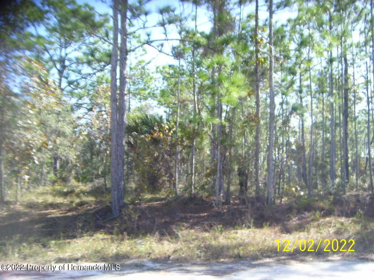 Weeki Wachee, FL 34614,0 Canada Goose Road