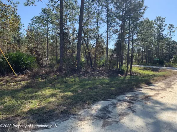 Brooksville, FL 34614,16086 Medrick Road