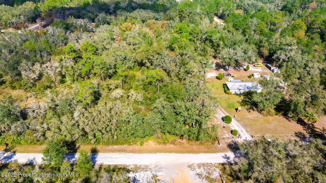 Willoughby Drive, Webster, FL 33597