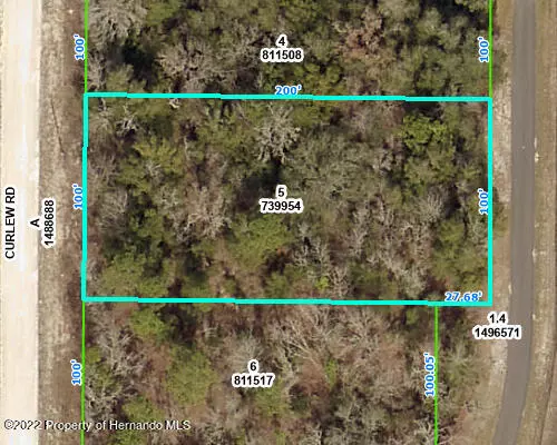 16446 Curlew Road, Weeki Wachee, FL 34614