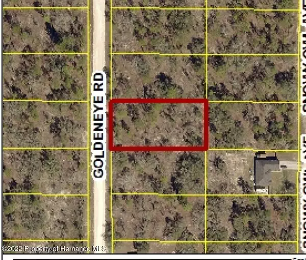 Goldeneye Road, Weeki Wachee, FL 34614