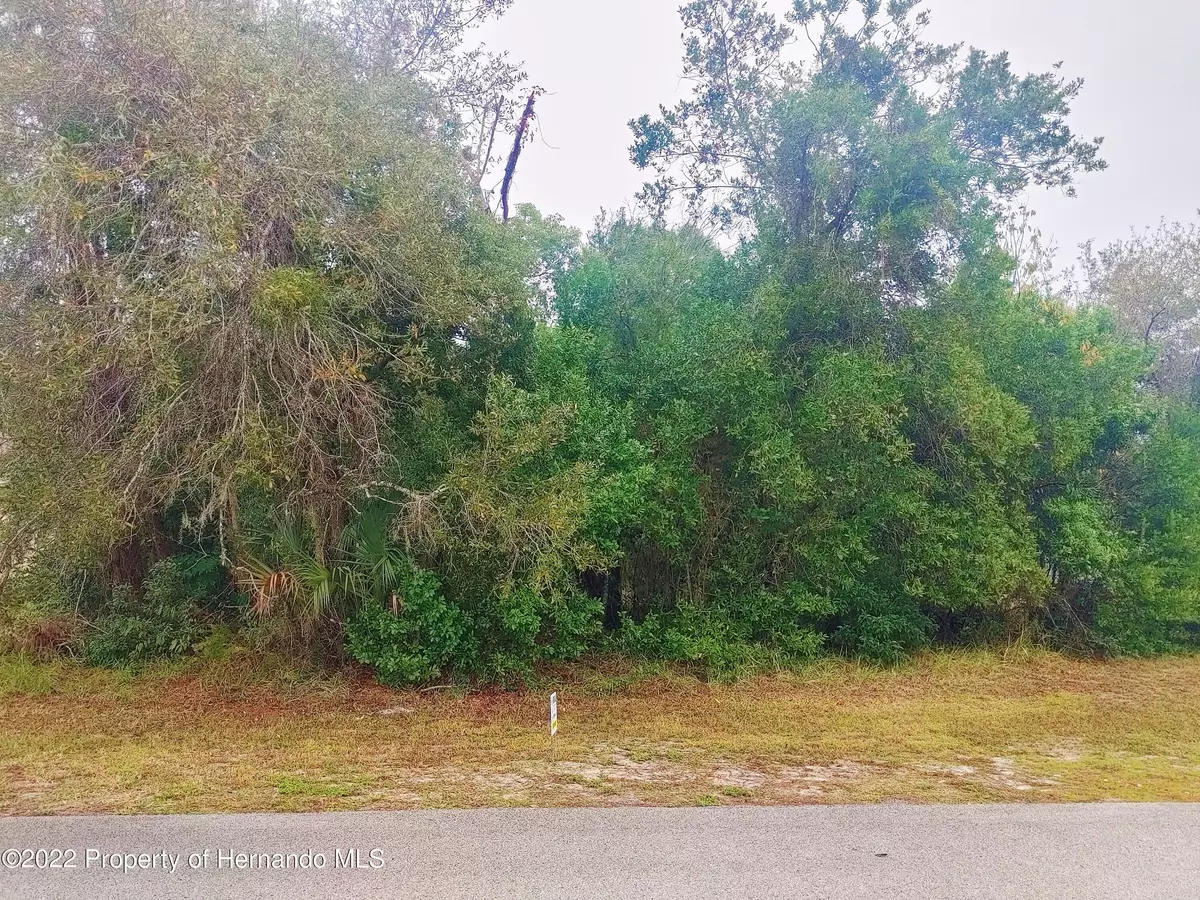 Spring Hill, FL 34606,0 Bayridge Court