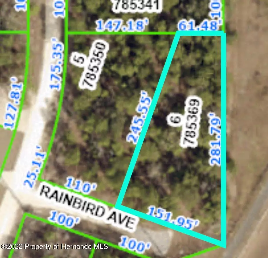 Weeki Wachee, FL 34614,Rainbird Avenue