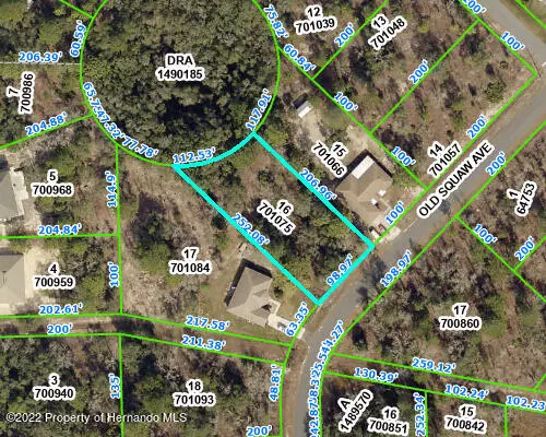 Old Squaw Avenue, Weeki Wachee, FL 34614