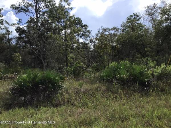 0 Parallel Road, Brooksville, FL 34614