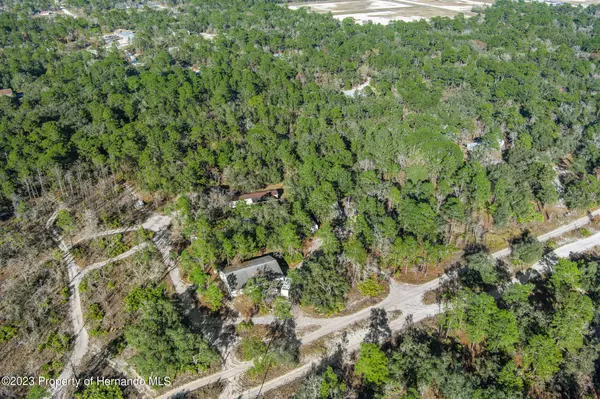 Weeki Wachee, FL 34613,3 Bourassa