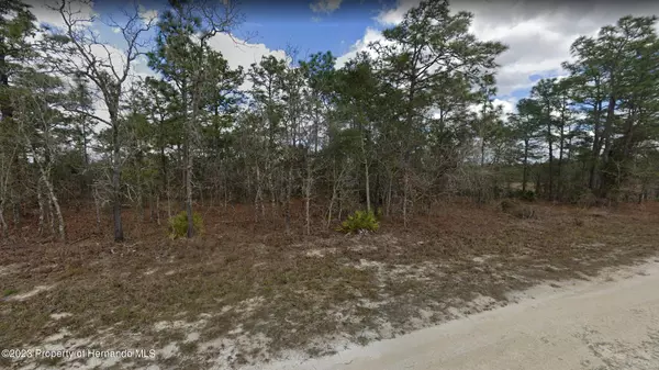 Weeki Wachee, FL 34614,Scarlet Ibis Avenue