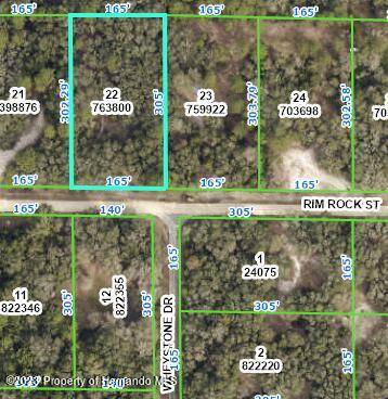 34383 Rimrock Street, Webster, FL 33597