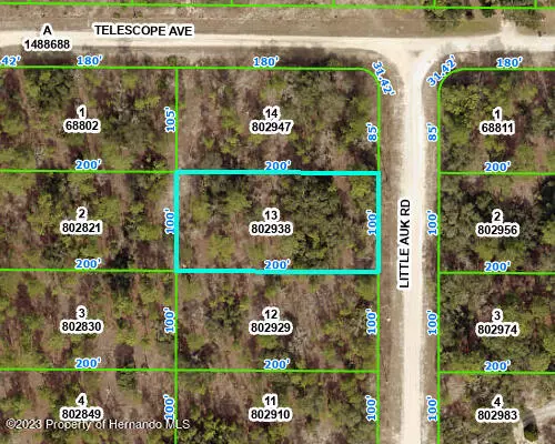 13 LITTLE AUK Road, Weeki Wachee, FL 34614