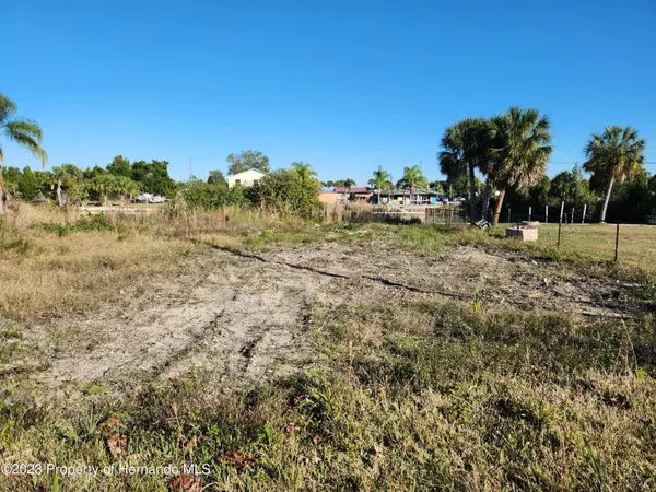 Hernando Beach, FL 34607,Fernleaf Dr Lot 2