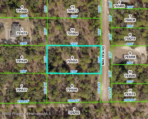 Weeki Wachee, FL 34614,9 MALDEN Road