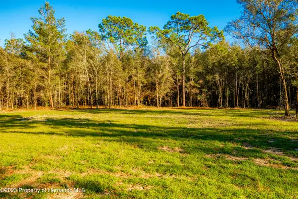 Brooksville, FL 34601,0 Dark Star Trail