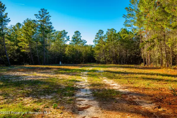 Brooksville, FL 34601,0 Dark Star Trail