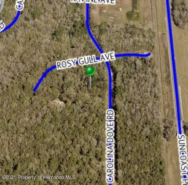 Weeki Wachee, FL 34614,3 Carolina Dove Road