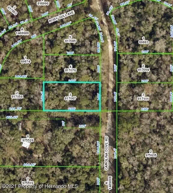 3 Carolina Dove Road, Weeki Wachee, FL 34614