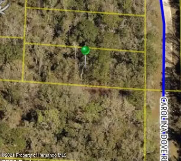 Weeki Wachee, FL 34614,3 Carolina Dove Road